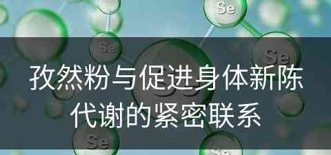 孜然粉与促进身体新陈代谢的紧密联系